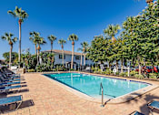 Thumbnail 3 of 10 - A pool surrounded by palm trees and lounge chairs.