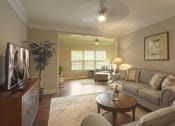 Thumbnail 28 of 43 - living room