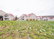 Thumbnail 12 of 20 - a row of houses with carpets in the grass