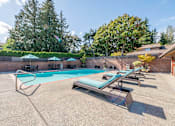 Thumbnail 36 of 48 - Pet-Friendly Apartments in North Bellevue, WA - The Regent at Bellevue Way - An Outdoor Swimming Pool, Featuring Multiple Sun Loungers, Seating with Umbrellas, and Trees.