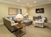 Thumbnail 9 of 39 - greystone falls media room