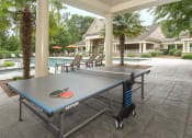Thumbnail 5 of 39 - greystone falls ping pong table