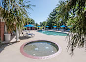 Thumbnail 45 of 67 - A pool surrounded by trees and umbrellas.