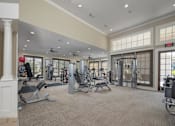 Thumbnail 4 of 48 - A gym with a variety of equipment including treadmills, weights, and exercise machines.