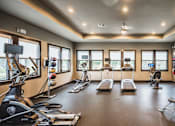 Thumbnail 12 of 18 - a gym with cardio machines and weights on the floor and windows