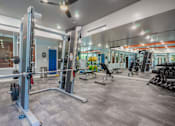 Thumbnail 13 of 25 - A gym with a variety of equipment including a squat rack and weights.