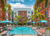 Thumbnail 1 of 40 - A pool surrounded by palm trees and lounge chairs.