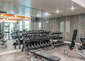 Thumbnail 26 of 40 - A gym with a variety of equipment including dumbbells, weight machines, and benches.