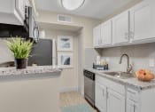 Thumbnail 4 of 27 - Haven Lake Deer  Kitchen