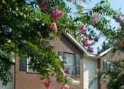 Thumbnail 6 of 36 - building exterior