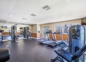 Thumbnail 7 of 38 - the gym at our apartments has cardio equipment and weights