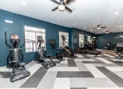 Thumbnail 18 of 38 - the gym in the owner s suite is equipped with cardio equipment and weights