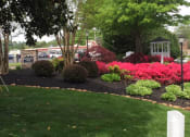 Thumbnail 6 of 30 - garden