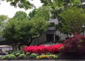 Thumbnail 22 of 30 - garden