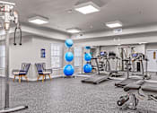 Thumbnail 19 of 30 - A gym with a variety of equipment including treadmills, weights, and exercise balls.