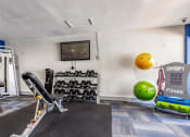 Thumbnail 5 of 34 - the gym at the house at L'Estancia, Sarasota, 34231