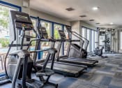 Thumbnail 6 of 34 - the gym with cardio equipment at the monarch luxury apartments in midtown at L'Estancia, Sarasota