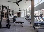 Thumbnail 24 of 32 - Pet-Friendly Apartments in Mt. Juliet - The Enclave - Fitness Center with Carpeted Floor, Treadmills, Free Weights, Ceiling Fans, and Large Windows