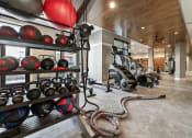 Thumbnail 14 of 41 - the gym is stocked with weights and other exercise equipment