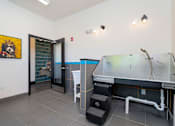 Thumbnail 43 of 49 - Luxury Apartments In Jeffersonville, IN With In-Unit Washer And Dryer - The Laurel - Pet Grooming Station With Modern Fixtures And Tiled Floors.