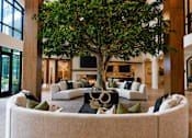 Thumbnail 11 of 40 - A tree in a living room with a white couch.