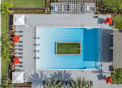 Thumbnail 18 of 27 - A swimming pool surrounded by a grassy area and palm trees.