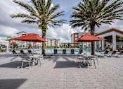 Thumbnail 12 of 27 - A pool area with red umbrellas and palm trees.