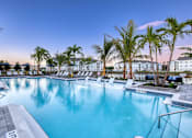 Thumbnail 1 of 49 - A large swimming pool surrounded by palm trees and lounge chairs.
