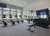 Thumbnail 13 of 49 - A gym with a row of treadmills, elliptical machines, and a bench press.
