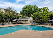 Thumbnail 16 of 28 - A large outdoor swimming pool surrounded by lounge chairs and trees.