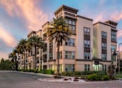 Thumbnail 1 of 42 - A large building with a palm tree in front of it.