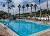 Thumbnail 16 of 31 - A swimming pool surrounded by palm trees and lounge chairs.