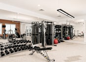 Thumbnail 12 of 31 - A gym with a variety of equipment including weights and a bench press.