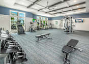 Thumbnail 9 of 45 - Jacksonville, FL, Luxury Apartments Near Botanical Gardens - The Clarke At Kendall Town - A Fitness Center With Matrix Strength Equipment, Treadmills, And A Dumbbell Rack.
