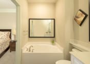 Thumbnail 40 of 43 - garden tub