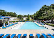 Thumbnail 26 of 33 - A large swimming pool surrounded by blue sun loungers.
