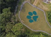 Thumbnail 35 of 36 - 1824 defoor pet park