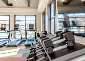 Thumbnail 42 of 43 - A gym with treadmills, dumbbells and exercise equipment.