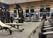 Thumbnail 17 of 29 - zatitude  gym