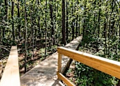 Thumbnail 22 of 27 - a wooden deck in the middle of the woods