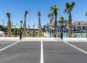 Thumbnail 39 of 40 - A tennis court surrounded by palm trees and a fence.