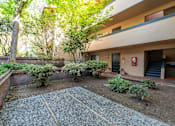 Thumbnail 34 of 48 - A courtyard with a gravel ground and a tree in front of a building.