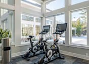 Thumbnail 6 of 25 - Two stationary bikes are in a sunny room.