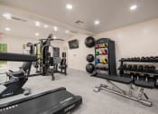 Thumbnail 21 of 28 - the gym is stocked with weights and cardio equipment