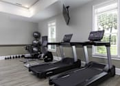Thumbnail 16 of 32 - A home gym with treadmills, weights, and exercise balls.