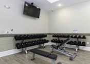 Thumbnail 17 of 32 - A gym with a bench, weights, and a television mounted on the wall.