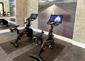 Thumbnail 12 of 34 - Two exercise bikes are in a room with a large wall mural.