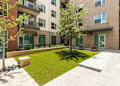 Thumbnail 28 of 30 - A tree in a courtyard surrounded by buildings.