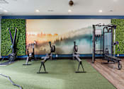 Thumbnail 12 of 24 - A gym with a green wallpaper and a variety of equipment.