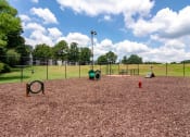 Thumbnail 15 of 44 - Sutter Lake Apartments Dog Park